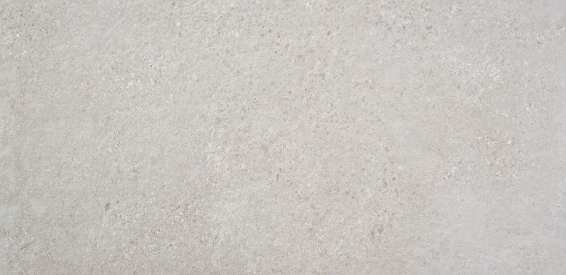 rodas gris claro mate 60x120