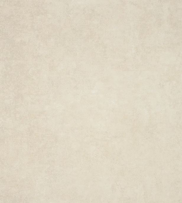 vanguard crema(1)